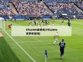 fifa2006世界杯(fifa2006世界杯游戏)