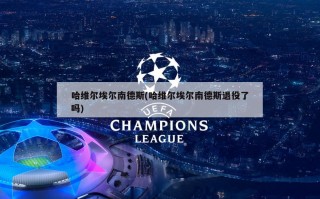 哈维尔埃尔南德斯(哈维尔埃尔南德斯退役了吗)