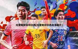 托雷斯转会切尔西(托雷斯切尔西高清图片)
