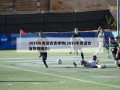 2016年奥运会吉祥物(2016年奥运会吉祥物图片)