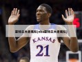 亚特兰大老鹰队(nba亚特兰大老鹰队)