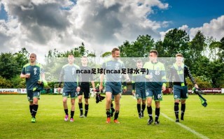 ncaa足球(ncaa足球水平)