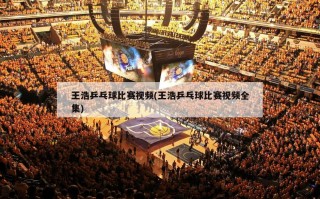 王浩乒乓球比赛视频(王浩乒乓球比赛视频全集)