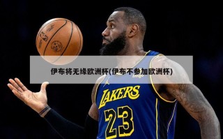 伊布将无缘欧洲杯(伊布不参加欧洲杯)