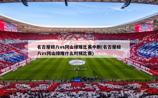 名古屋鲸八vs冈山绿雉比赛中断(名古屋鲸八vs冈山绿雉什么时候比赛)