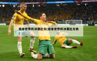 南非世界杯决赛比分(南非世界杯决赛比分表)