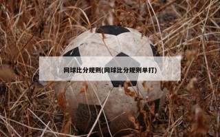 网球比分规则(网球比分规则单打)