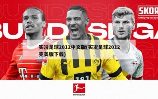 实况足球2012中文版(实况足球2012完美版下载)