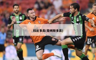 科比多高(詹姆斯多高)