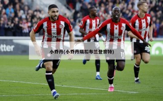 小乔丹(小乔丹隔扣布兰登奈特)
