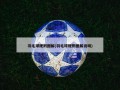 羽毛球规则图解(羽毛球规则图解说明)