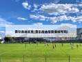 费尔南迪尼奥(费尔南迪尼奥曼城号码)
