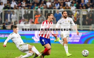 葡萄牙欧洲杯名单(葡萄牙欧洲杯名单公布)