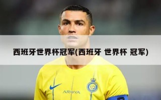 西班牙世界杯冠军(西班牙 世界杯 冠军)