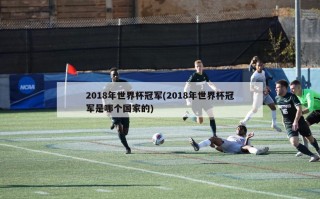 2018年世界杯冠军(2018年世界杯冠军是哪个国家的)