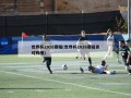 世界杯2018赛程(世界杯2018赛程表对阵图)