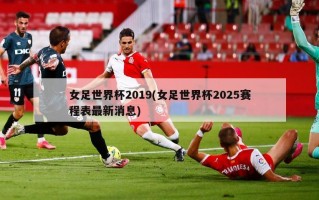 女足世界杯2019(女足世界杯2025赛程表最新消息)