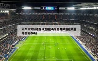 山东体育频道在线直播(山东体育频道在线直播鲁能泰山)