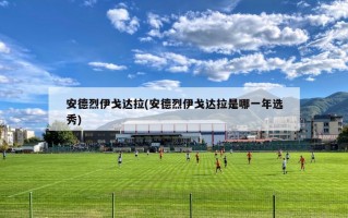 安德烈伊戈达拉(安德烈伊戈达拉是哪一年选秀)