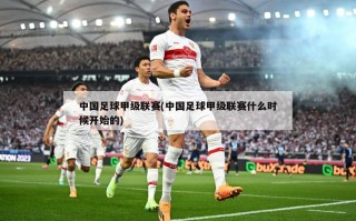 中国足球甲级联赛(中国足球甲级联赛什么时候开始的)