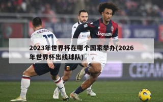 2023年世界杯在哪个国家举办(2026年世界杯出线球队)